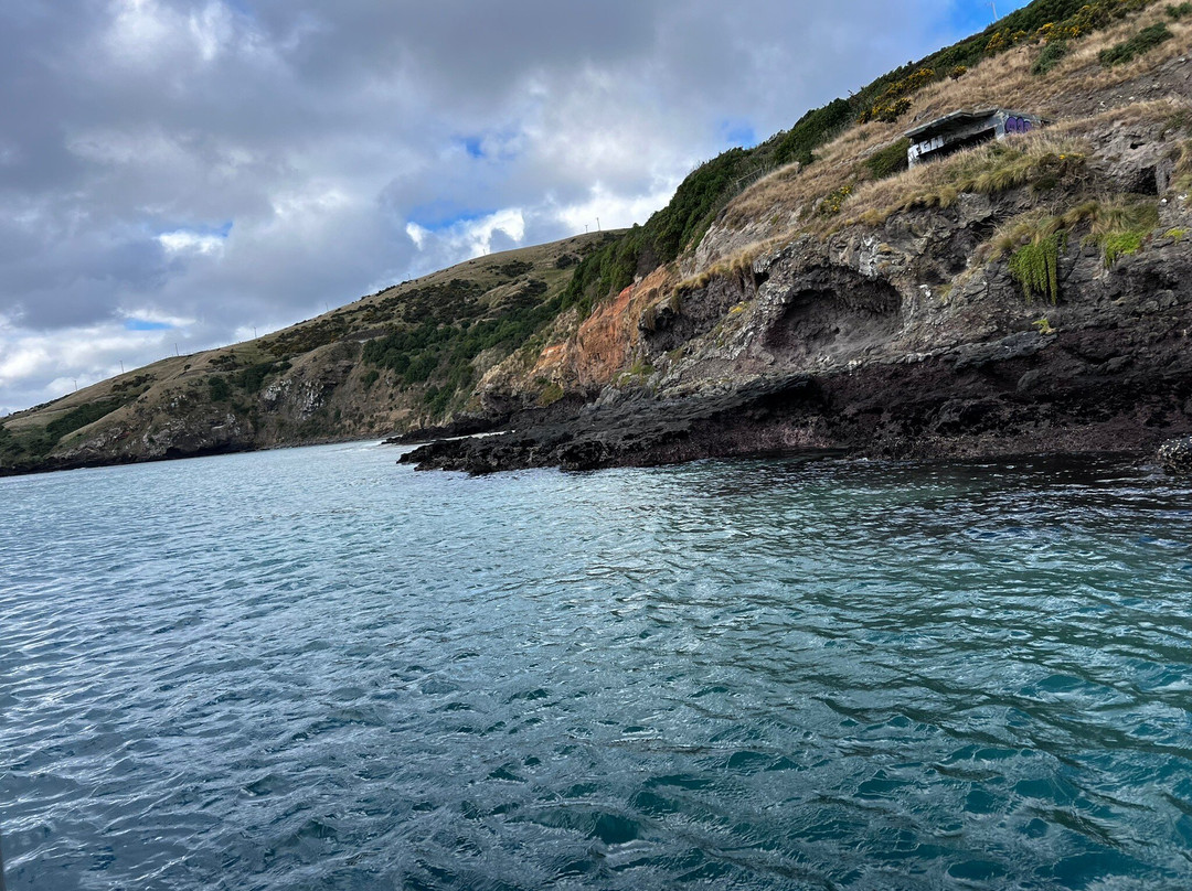 Port To Port Cruises and Wildife Tours-Port Chalmers必去景点