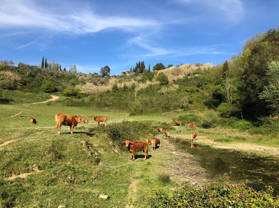 Agriturismo Polgara主图