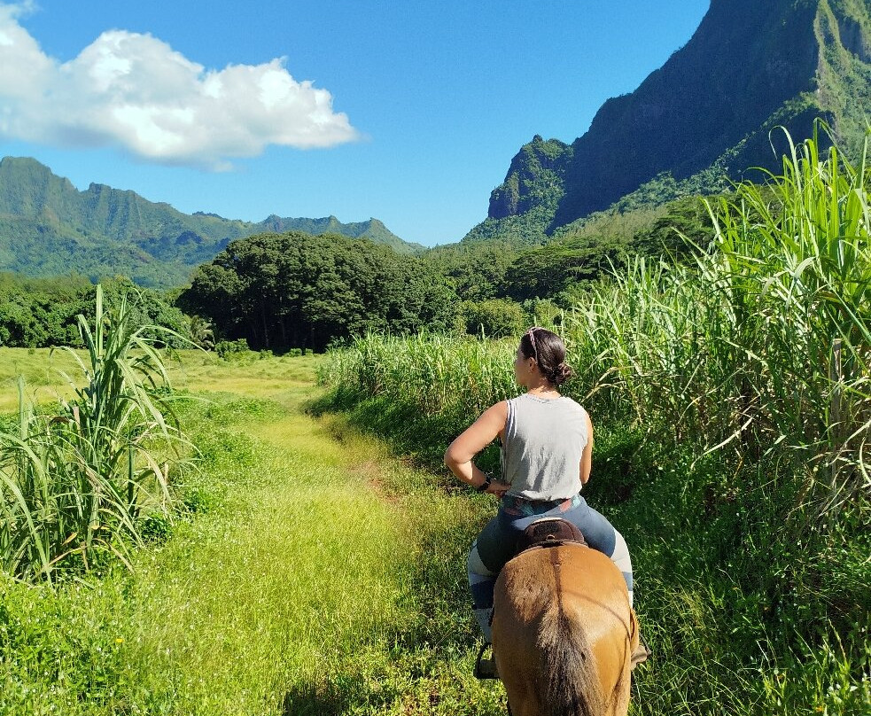 Ranch Opunohu Valley-马哈雷帕必去景点