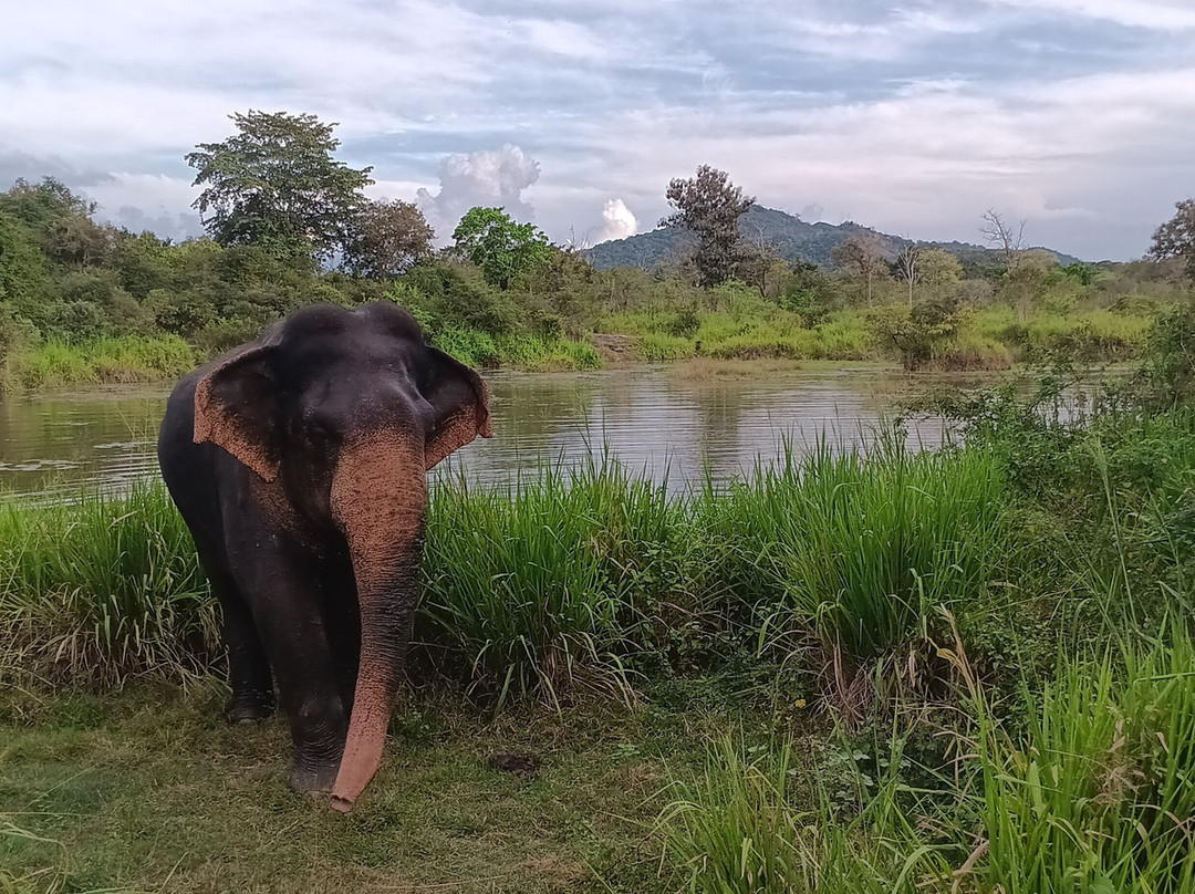 Trinco Lanka Travels-Trincomalee必去景点