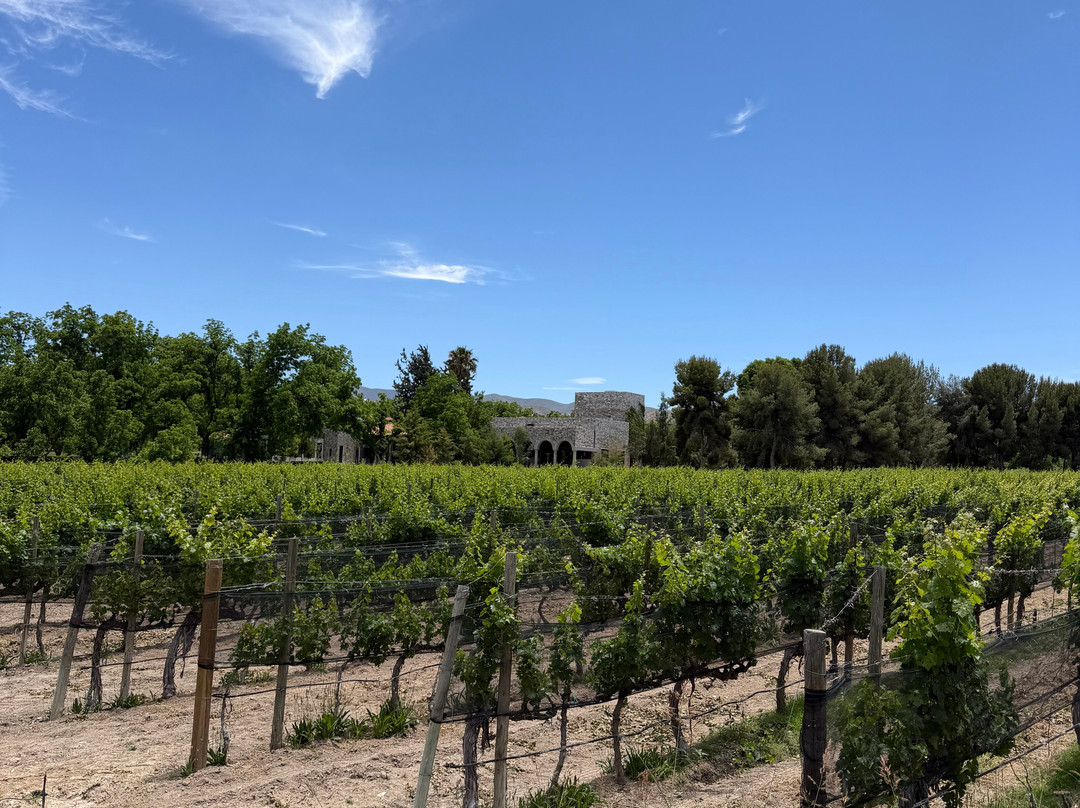 Bodega RGMX-Parras de la Fuente必去景点