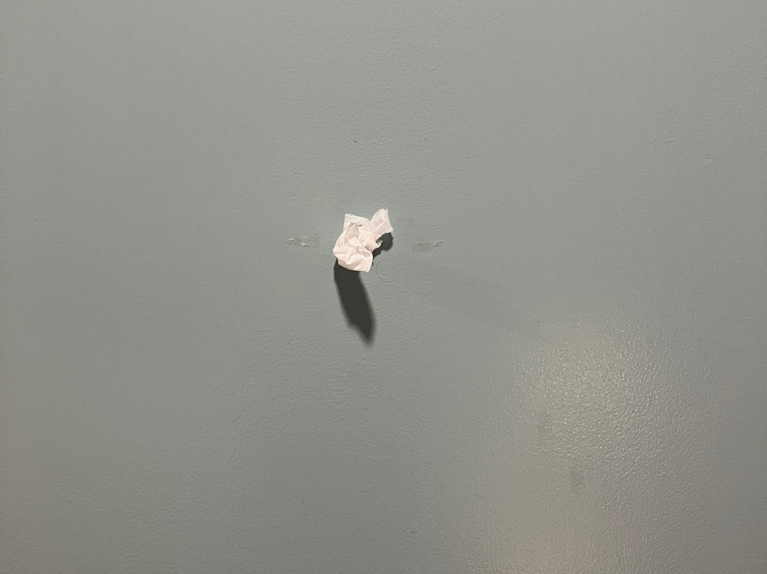 梅迪辛哈特温德姆华美达酒店主图