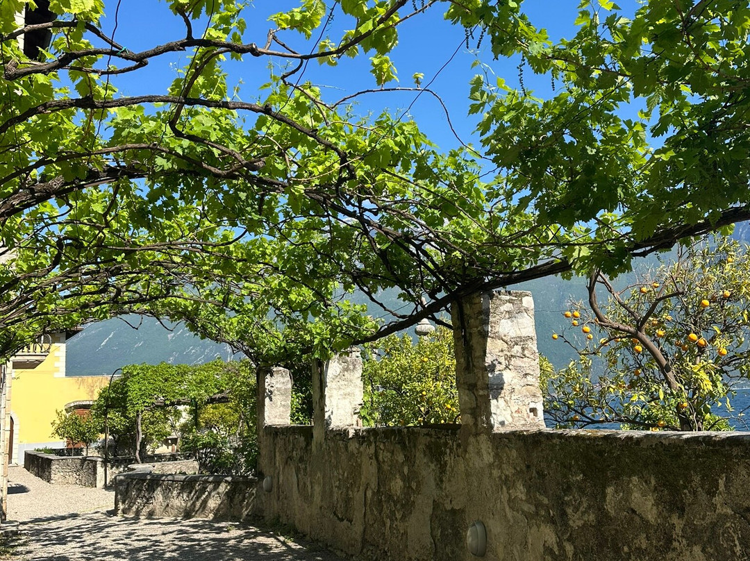 La Limonaia Del Castel-利莫内必去景点
