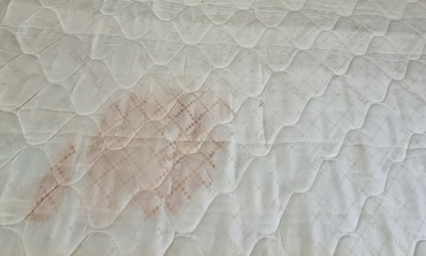 兰辛丽怡酒店-旅行者
