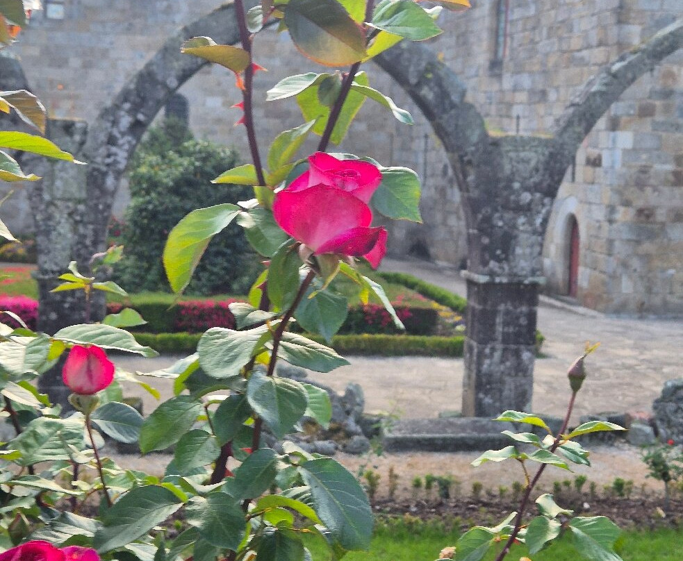 Jardim de Santa Bárbara-布拉加区必去景点