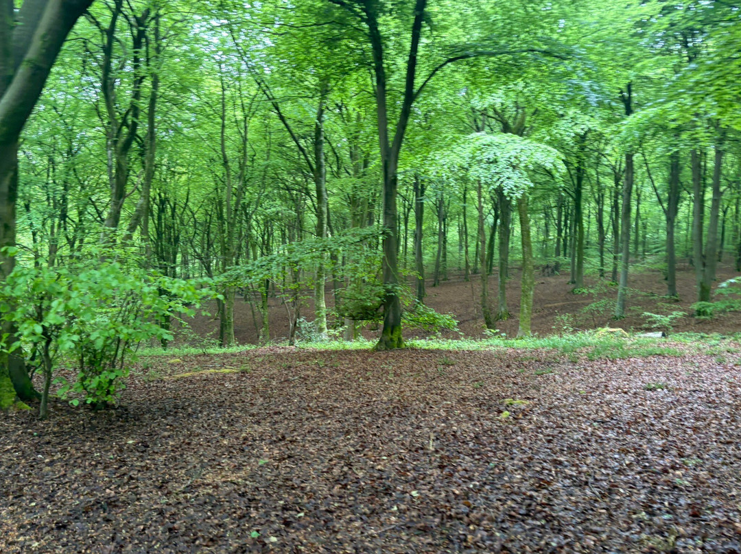 Queen Elizabeth Country Park-Horndean必去景点