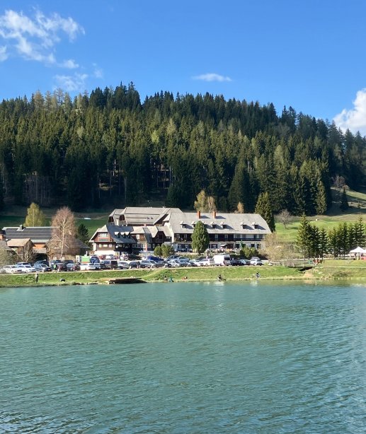 泰奇维尔特酒店-旅行者
