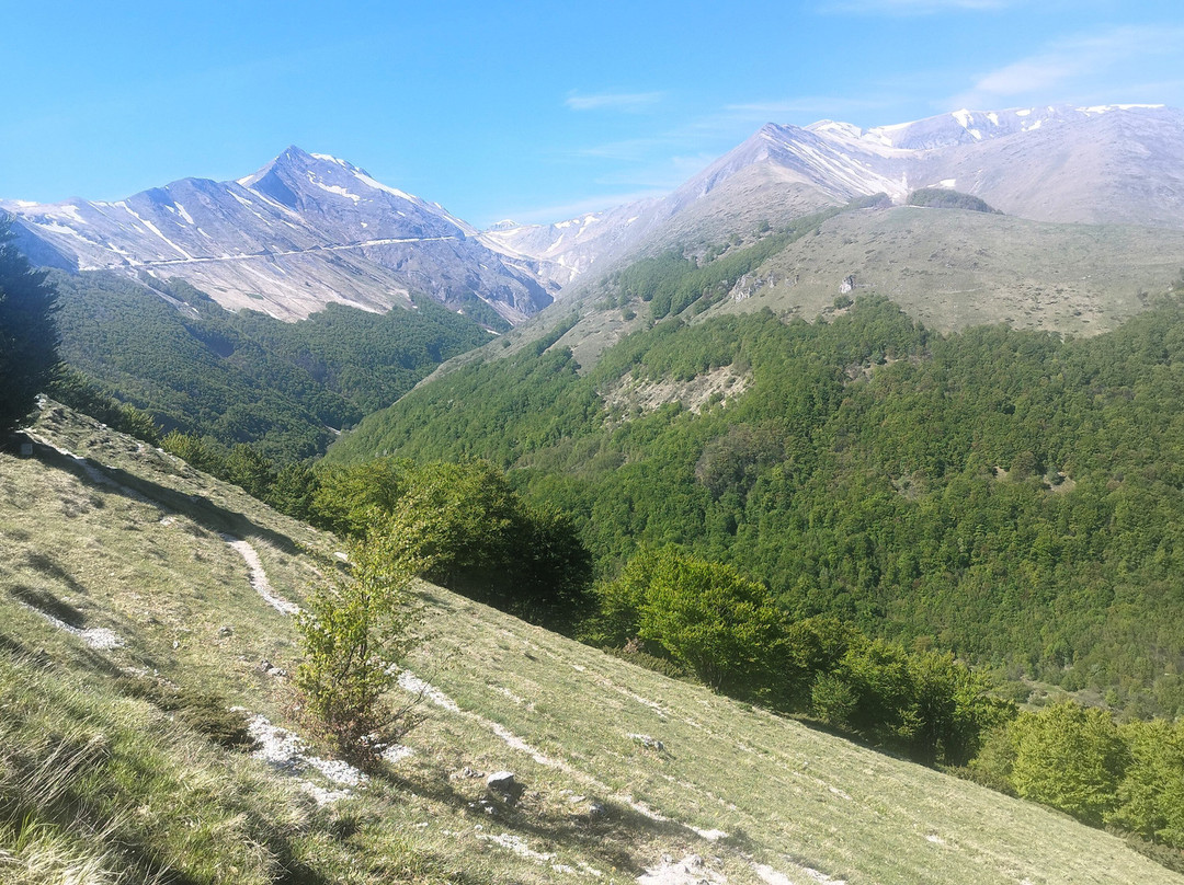Bolognola Ski-Bolognola必去景点