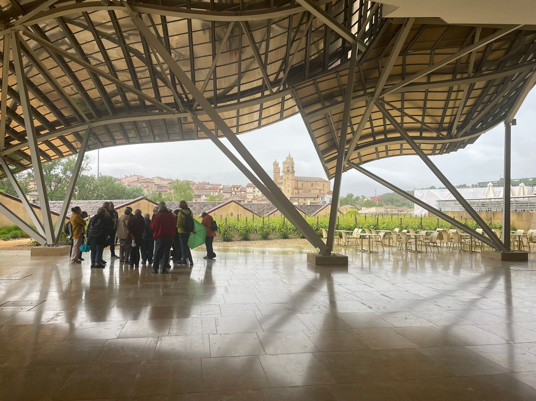 Bodegas Marques de Riscal-Elciego必去景点