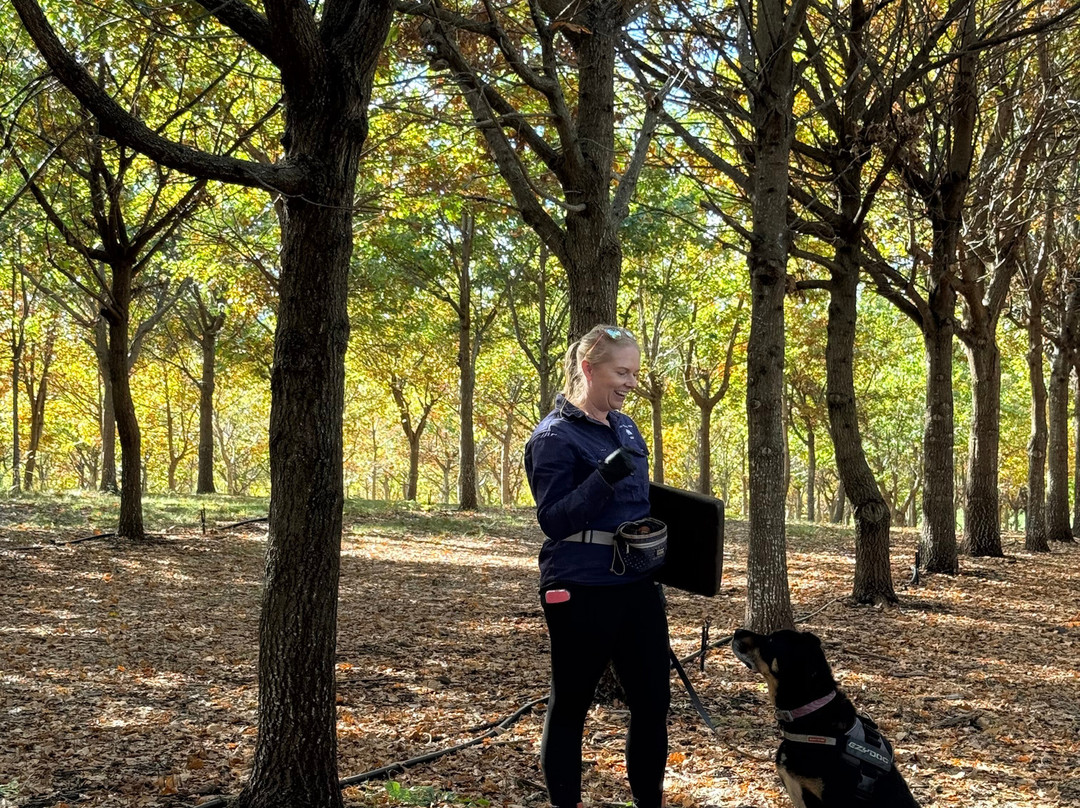 The Truffle Farm Tasmania-德洛兰恩必去景点