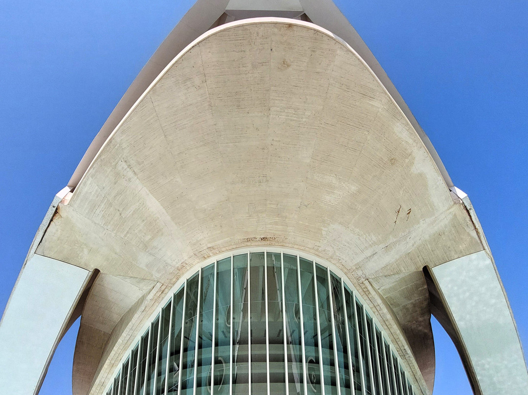 Palacio de las Artes Reina Sofía-巴伦西亚必去景点