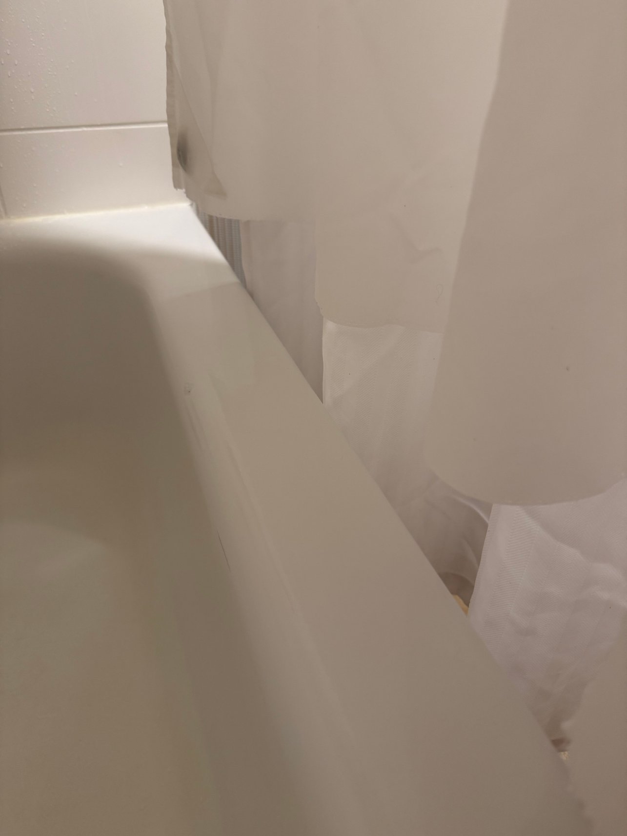 巴尔的摩白色沼泽希尔顿花园酒店-旅行者