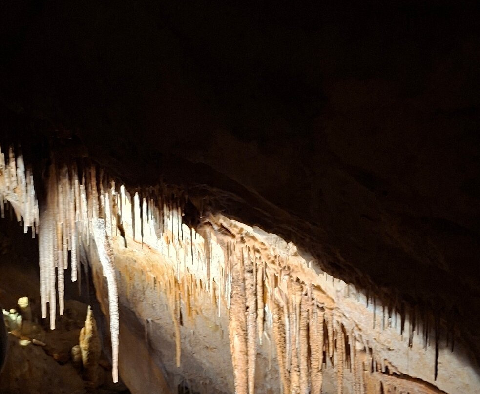 Cuevas del Drach-克里斯托港必去景点