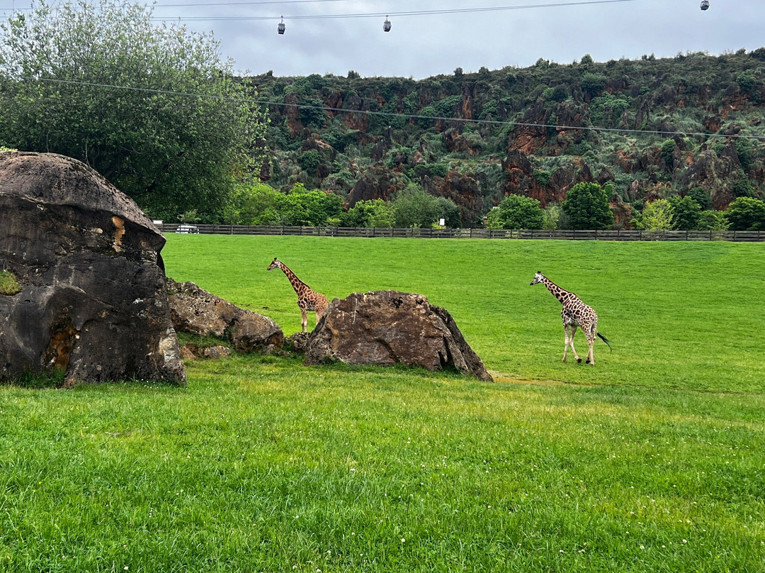 Parque de la Naturaleza de Cabarceno-Obregon必去景点