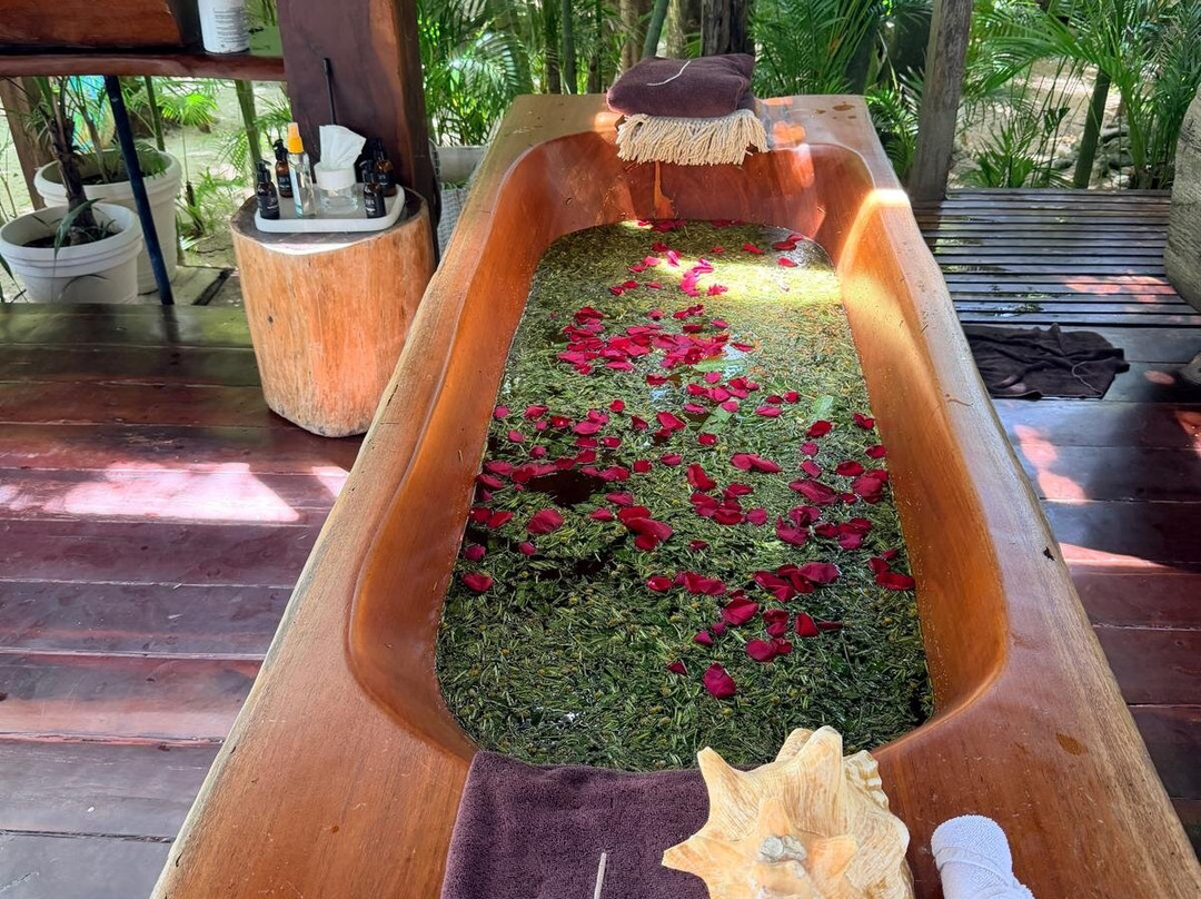 Jashita Hotel Tulum主图