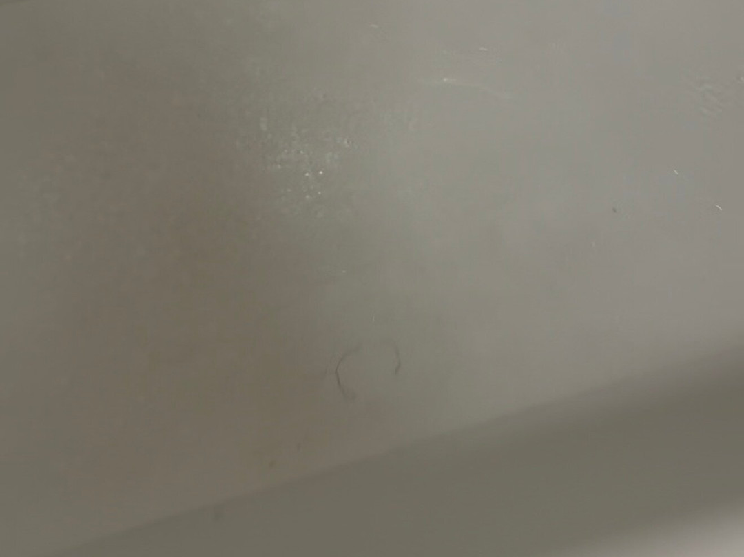 奥兰多玛丽湖拉昆塔温德姆套房酒店主图
