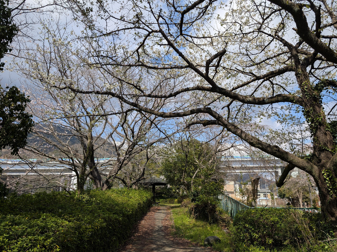 Koyama Shimizu Park-松田町必去景点