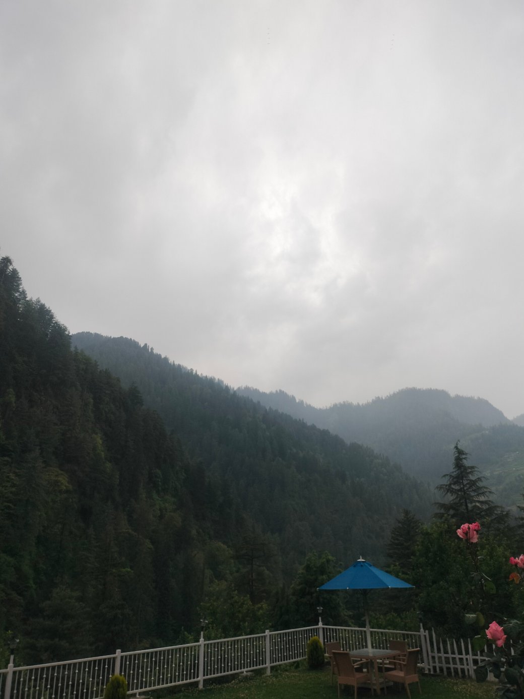 拉丽莎的8fold，吉比-旅行者