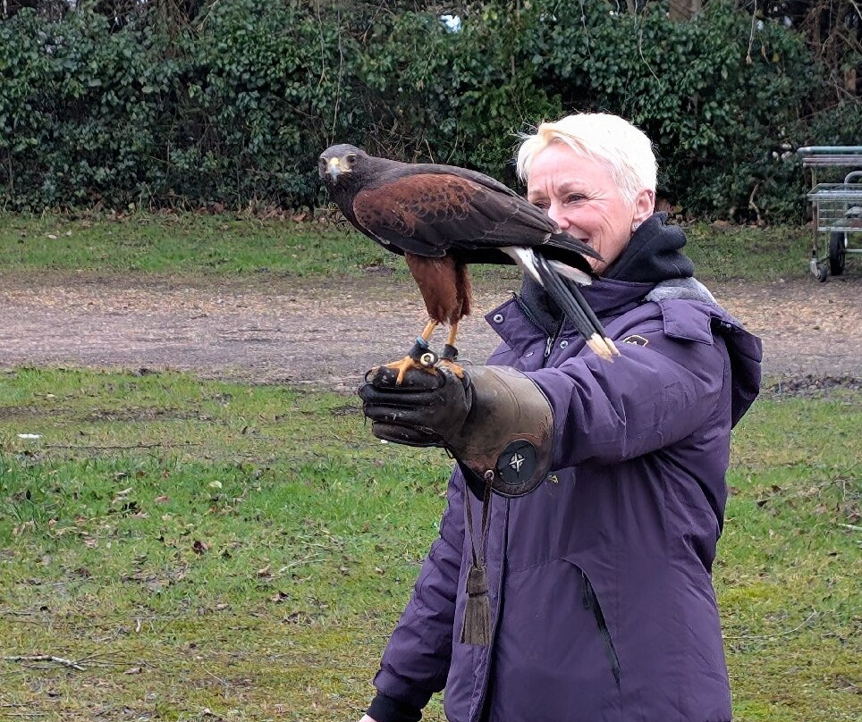 Hawksflight Falconry-特伦特河畔柏顿必去景点
