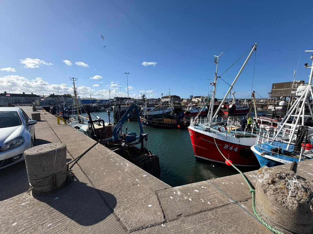 New Quays Portavogie