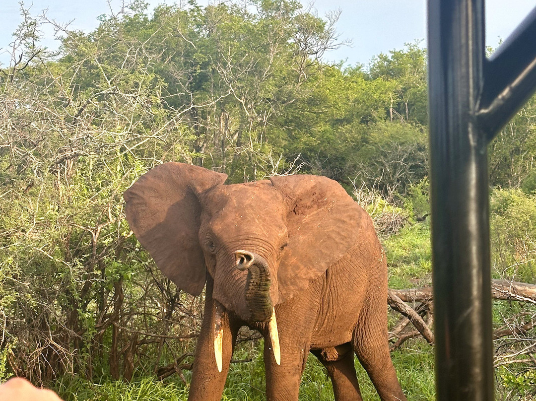 Sentashya Safaris-玛洛斯帕克必去景点