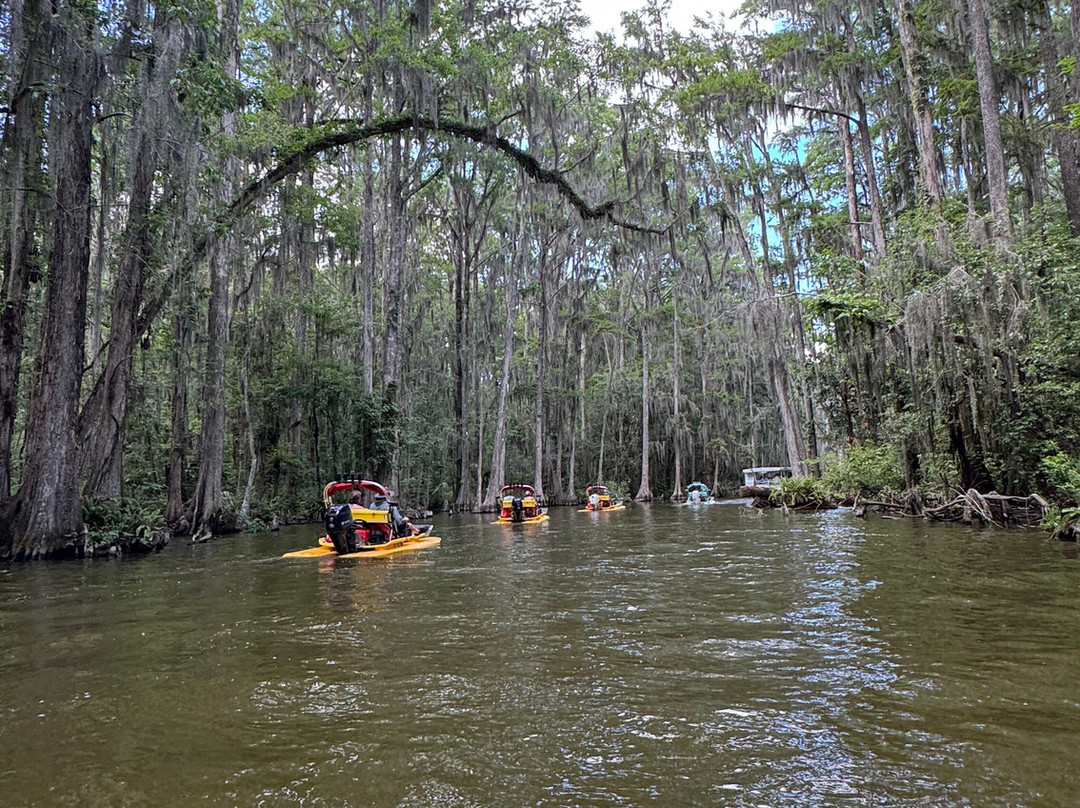 CatBoat Adventure Tours-Mount Dora必去景点