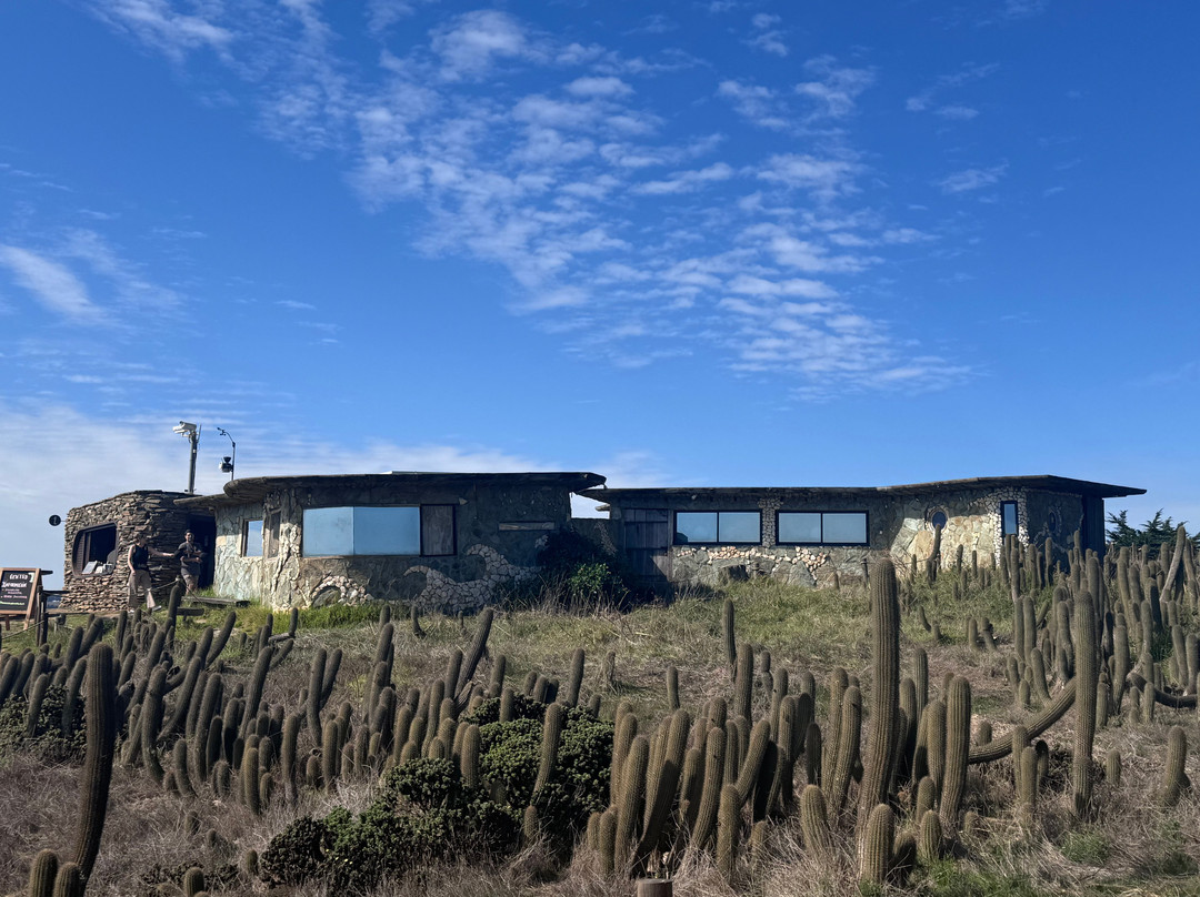 Punta De Lobos-皮钦勒姆必去景点