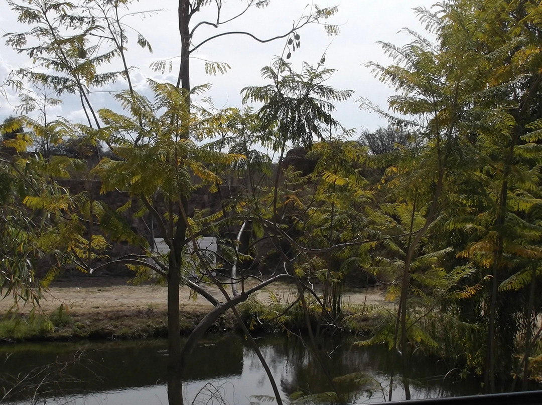 Yolihuani Relax Resort-Calvillo必去景点