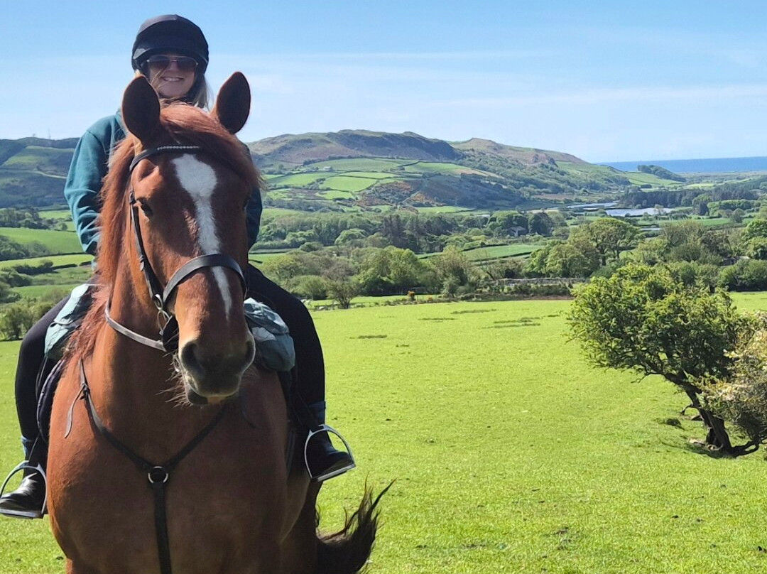Cumbrian Heavy Horses-Millom必去景点
