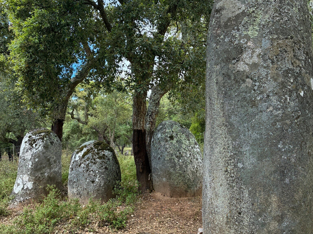 Ebora Megalithica Guided Tours-埃武拉必去景点