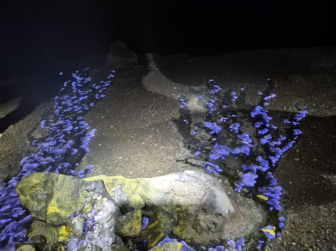 Ijen Blueflame Tour - Day Tours-巴纽旺宣必去景点