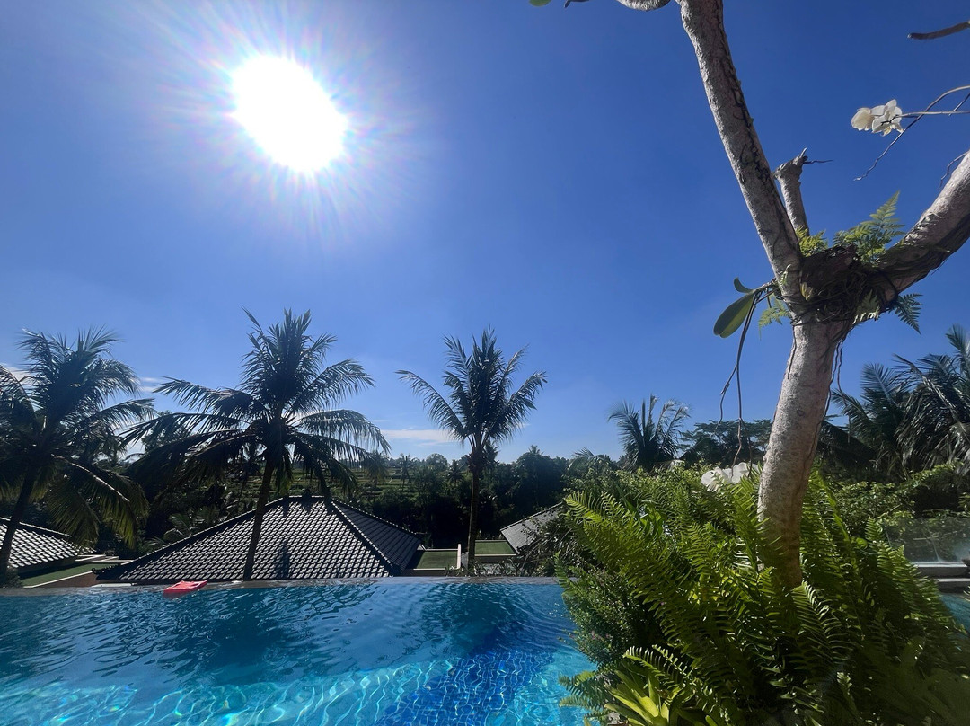 Seres Springs Resort & Spa, Singakerta主图