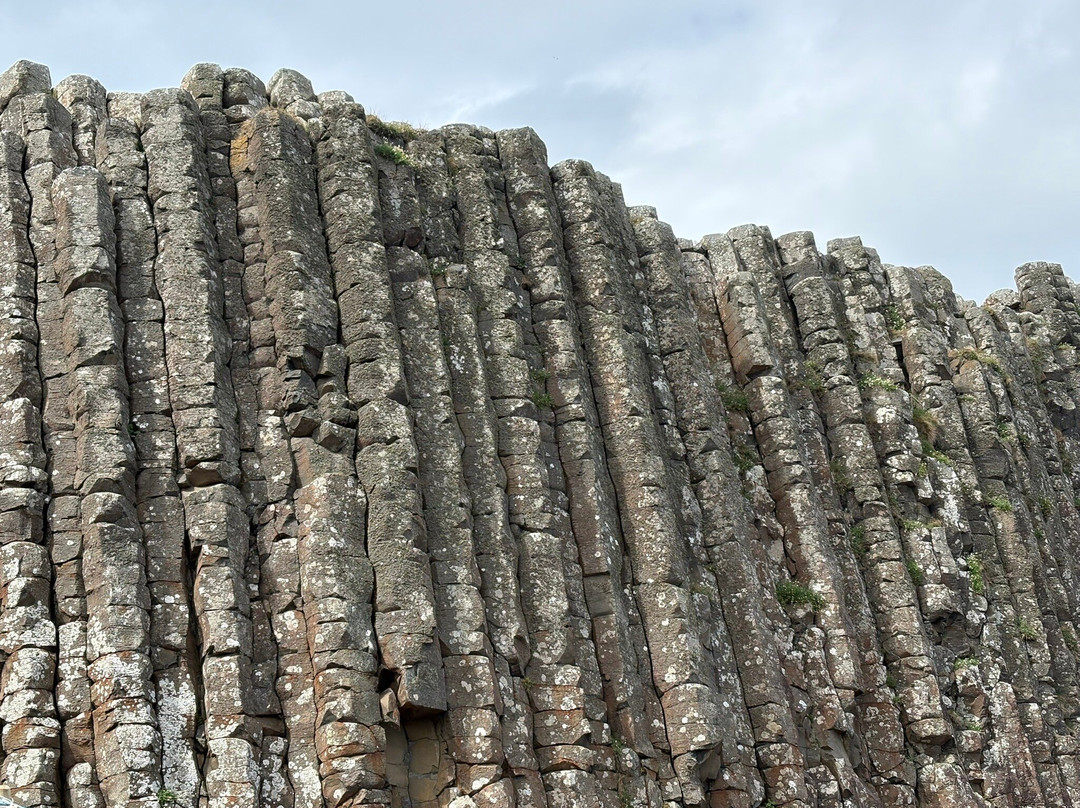 Giant's Causeway Visitor Centre-布什米尔斯必去景点