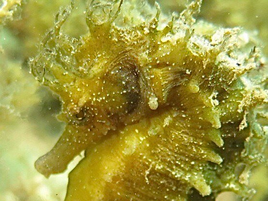 Just Dive Croatia-奥格勒纳莫鲁必去景点