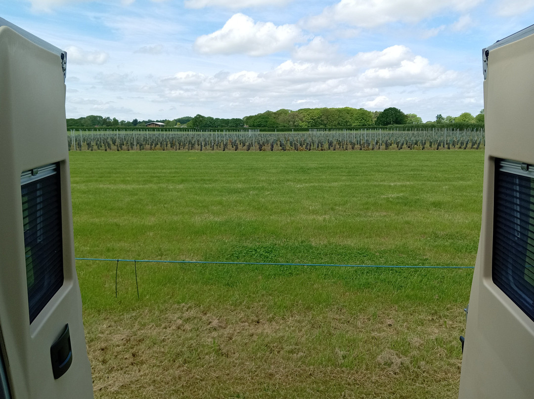 Yorkshire Heart Vineyard-约克必去景点