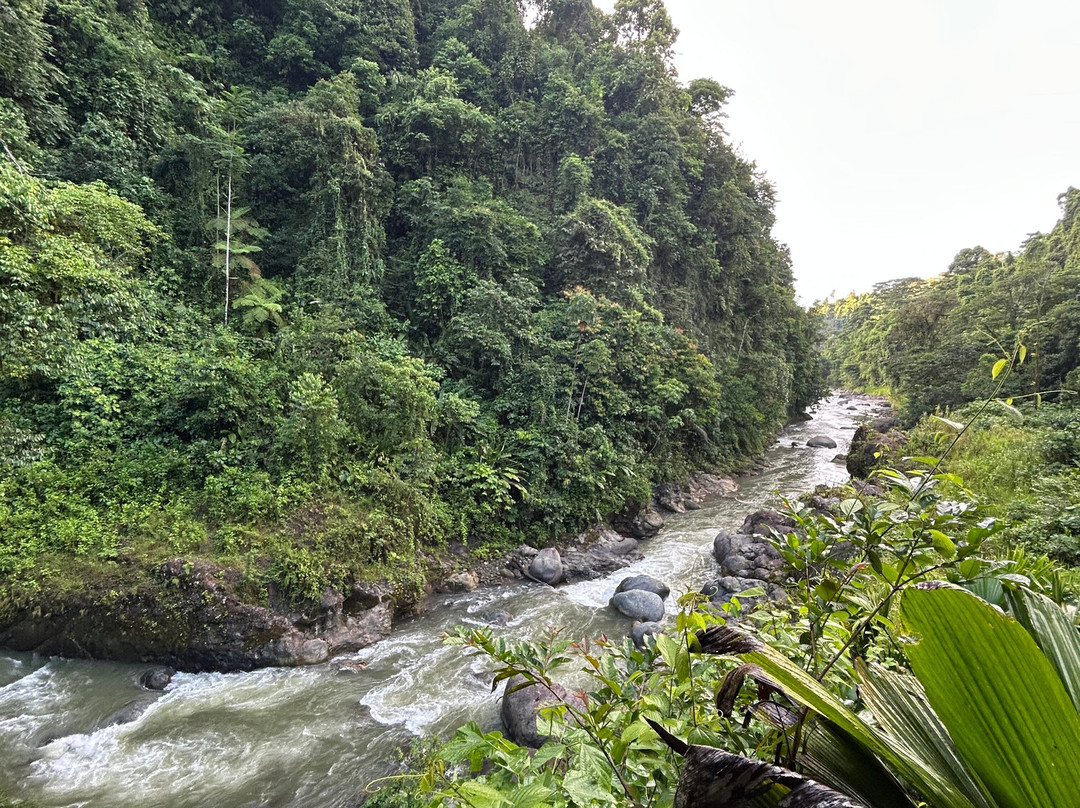 Rainforest Discovery-La California必去景点