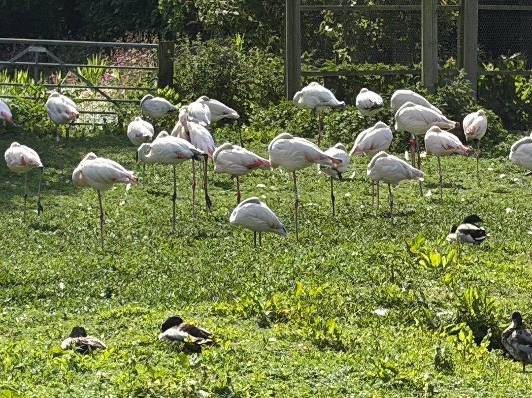 WWT Martin Mere Wetland Centre-Burscough必去景点
