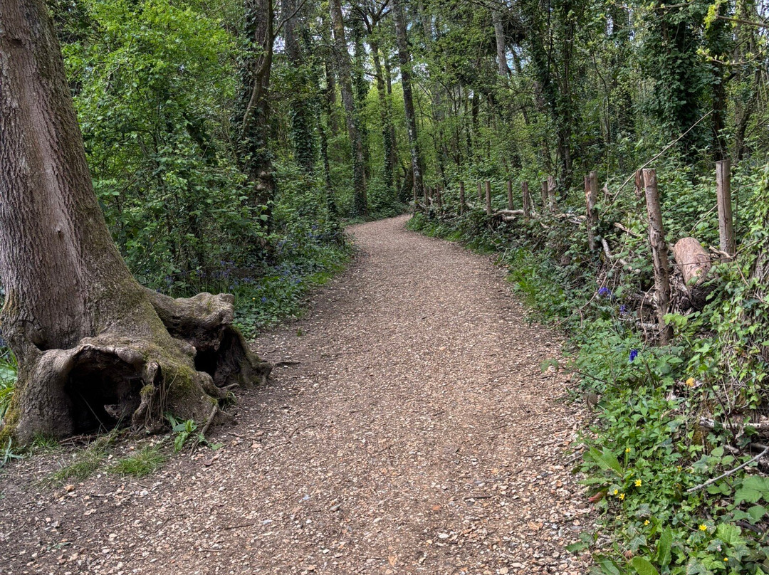 Itchen Valley Country Park-伊斯特利必去景点