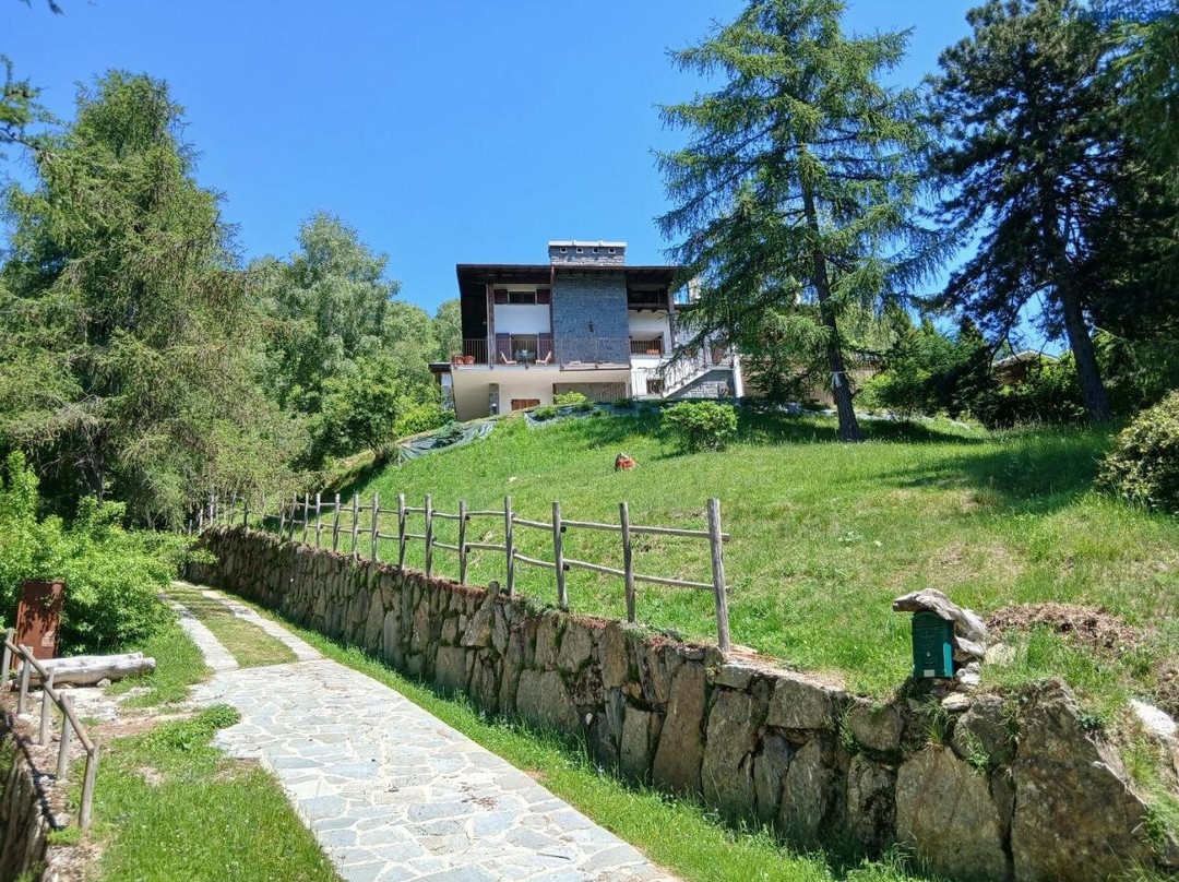 Il Larice D' Oro