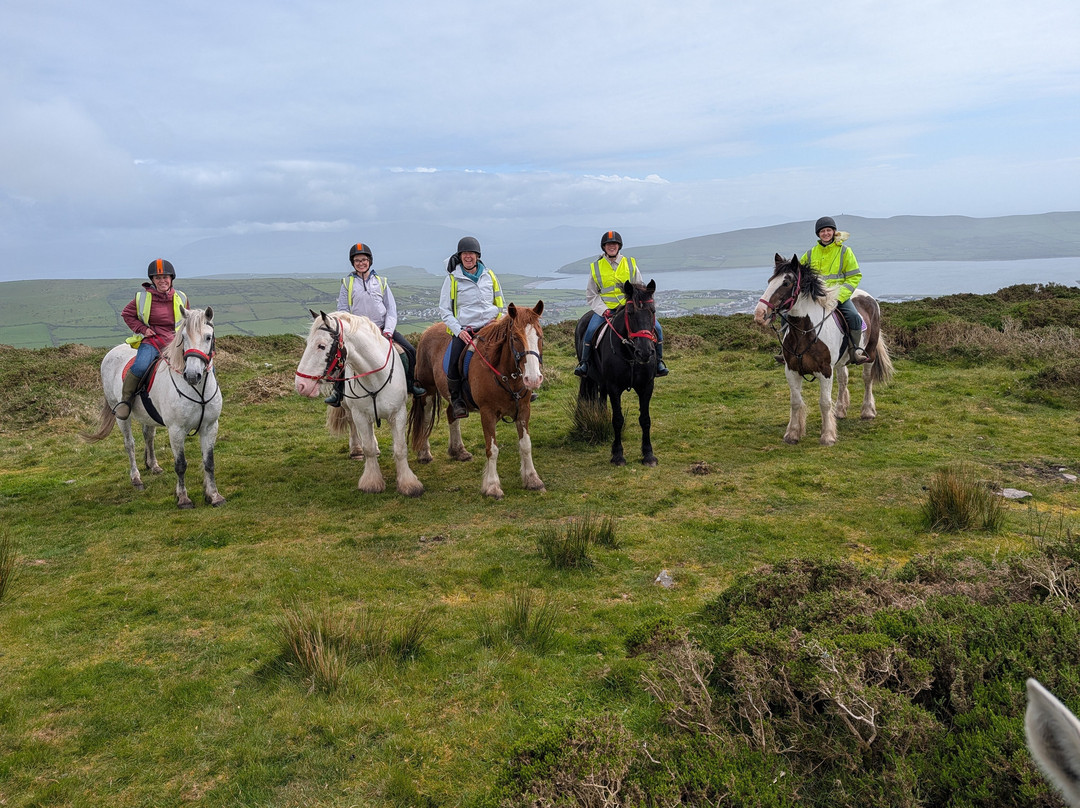 Dingle Horse Riding-丁格尔必去景点
