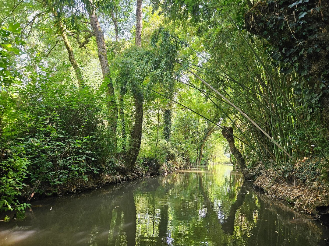 Embarcadere Cardinaud - Marais poitevin-Nouvelle-Aquitaine必去景点