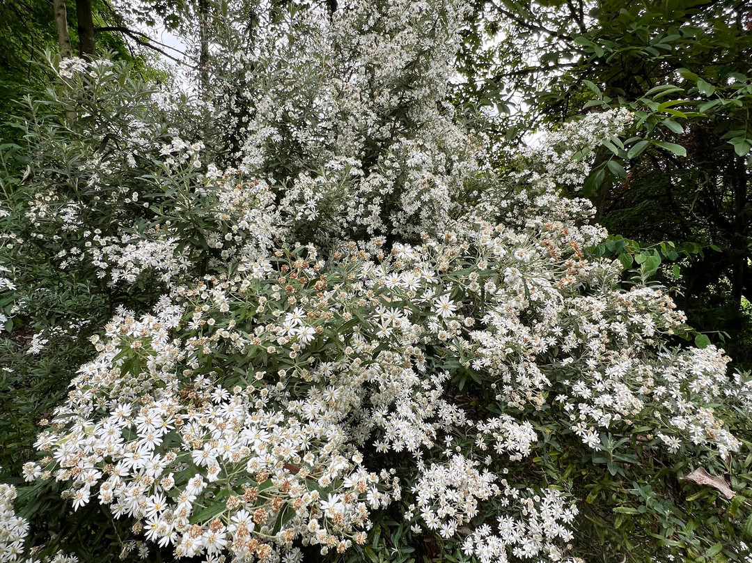 Moors Meadow Gardens-Bromyard必去景点