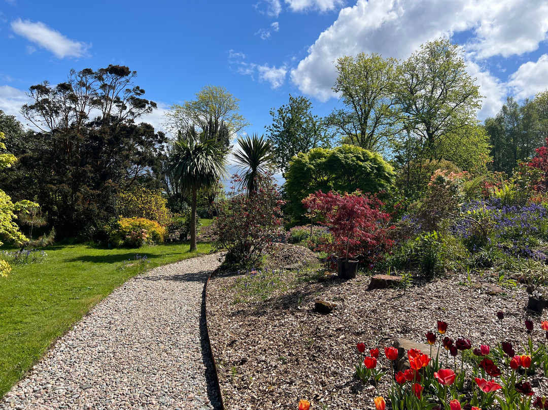 Ascog Hall Fernery and Garden-Ascog必去景点