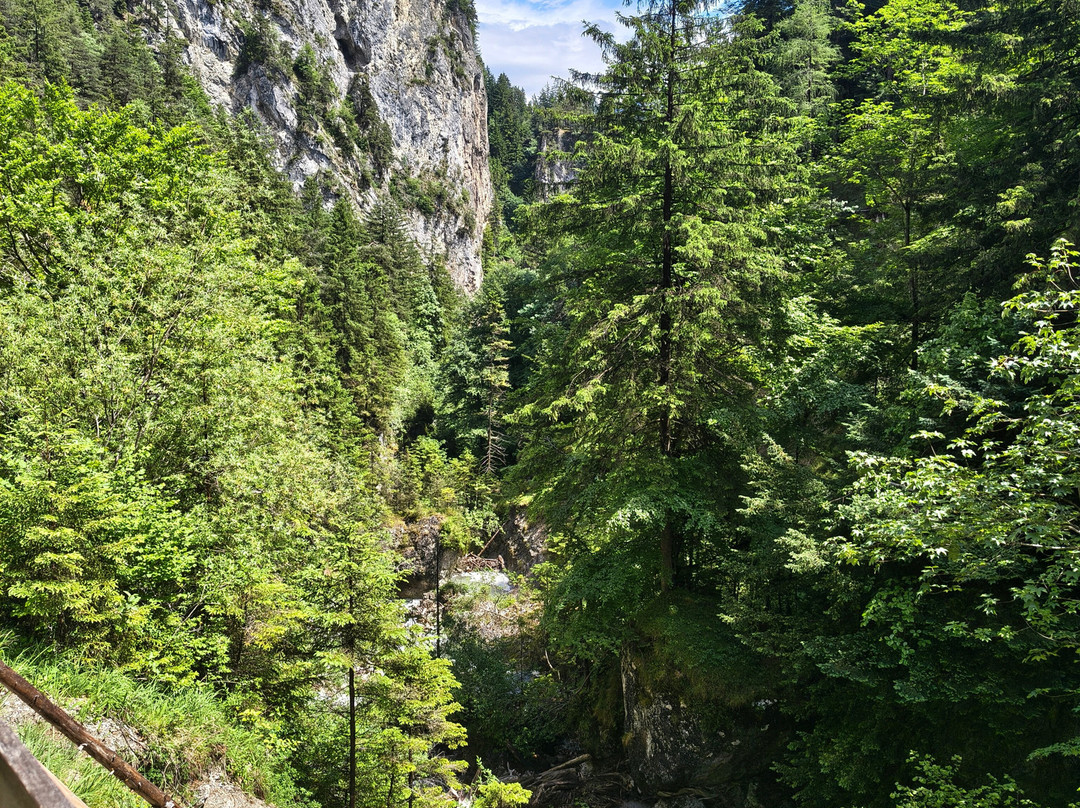 Wolfsklamm Gorge-Stans必去景点