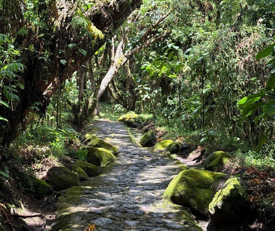 Mgahinga Gorilla National Park-Kisoro必去景点