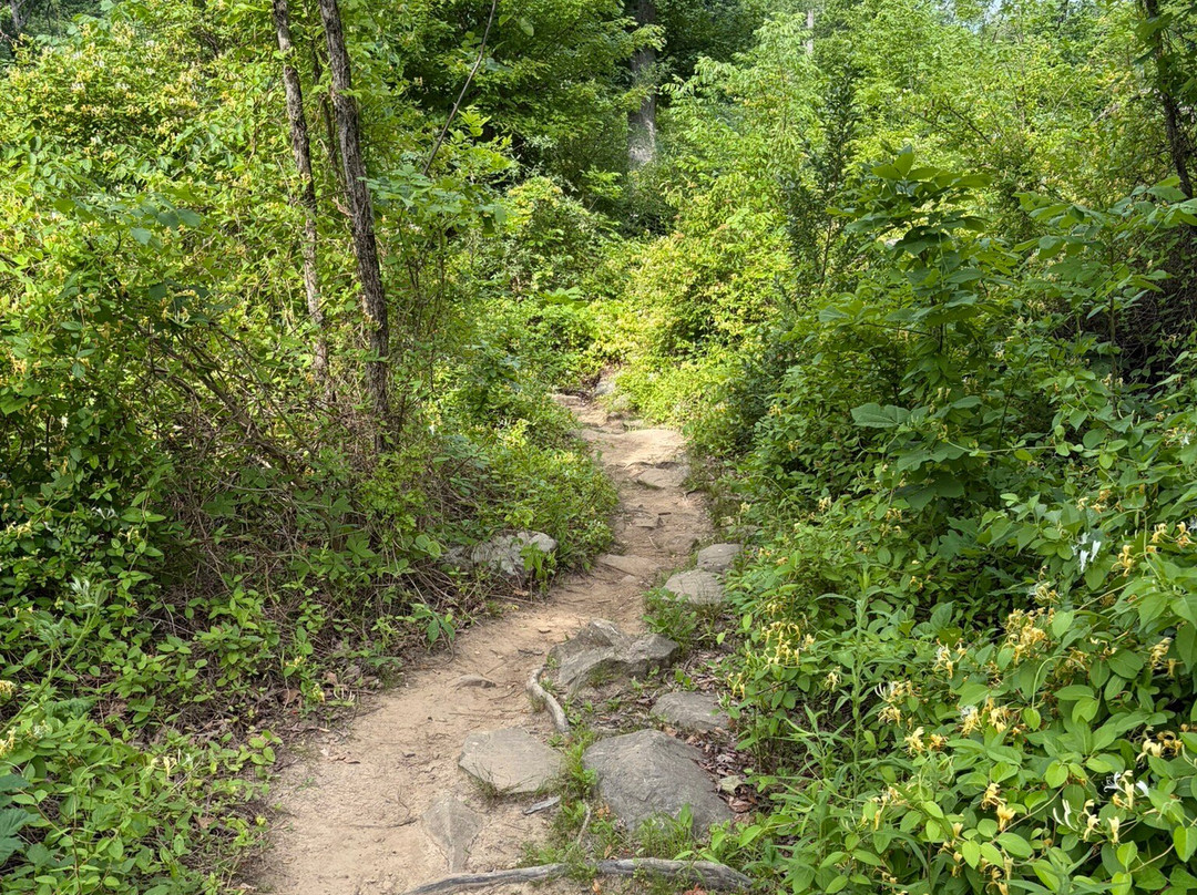 Baldpate Mountain-Titusville必去景点