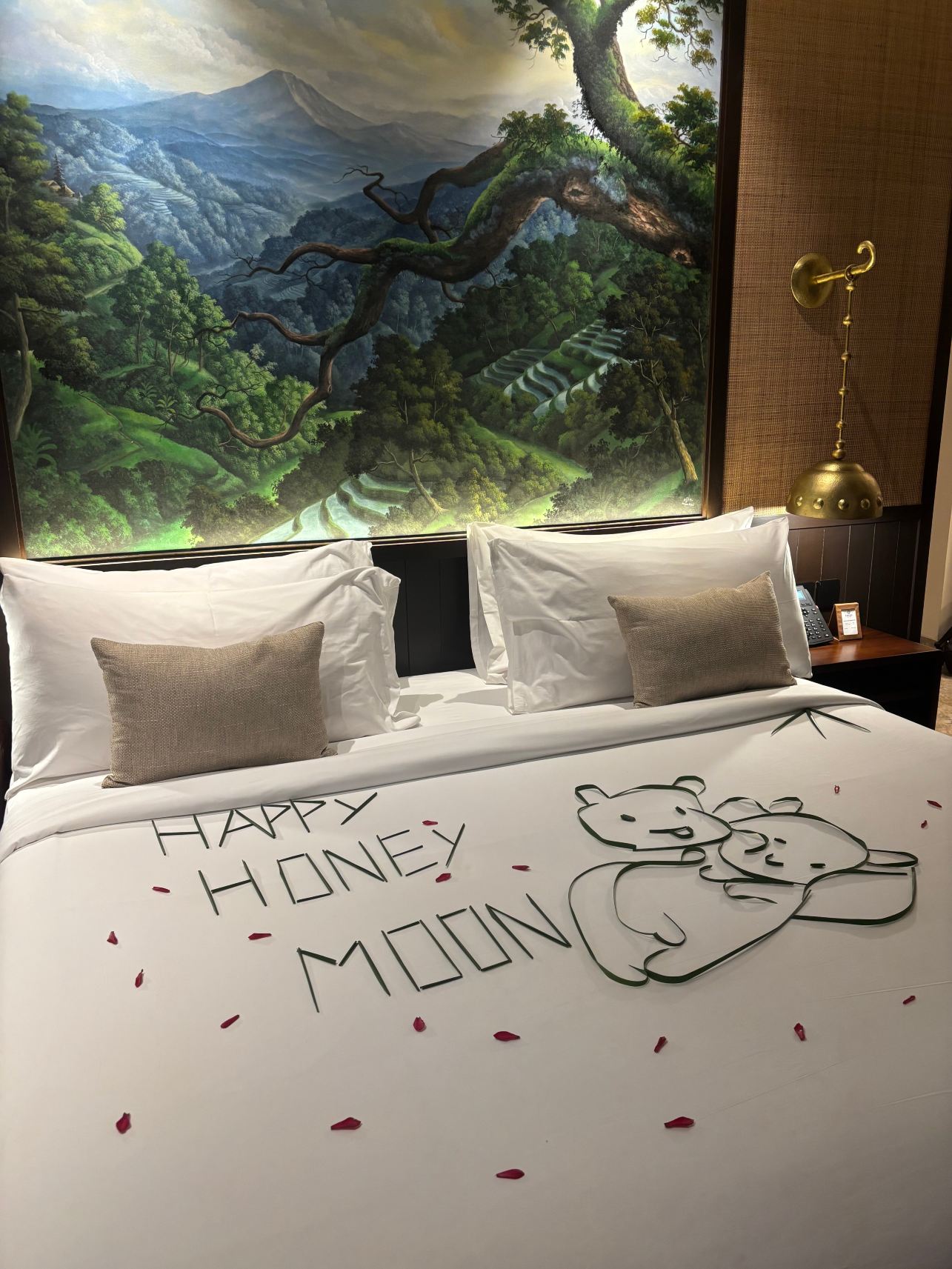 阿比安塔克苏套房别墅-旅行者