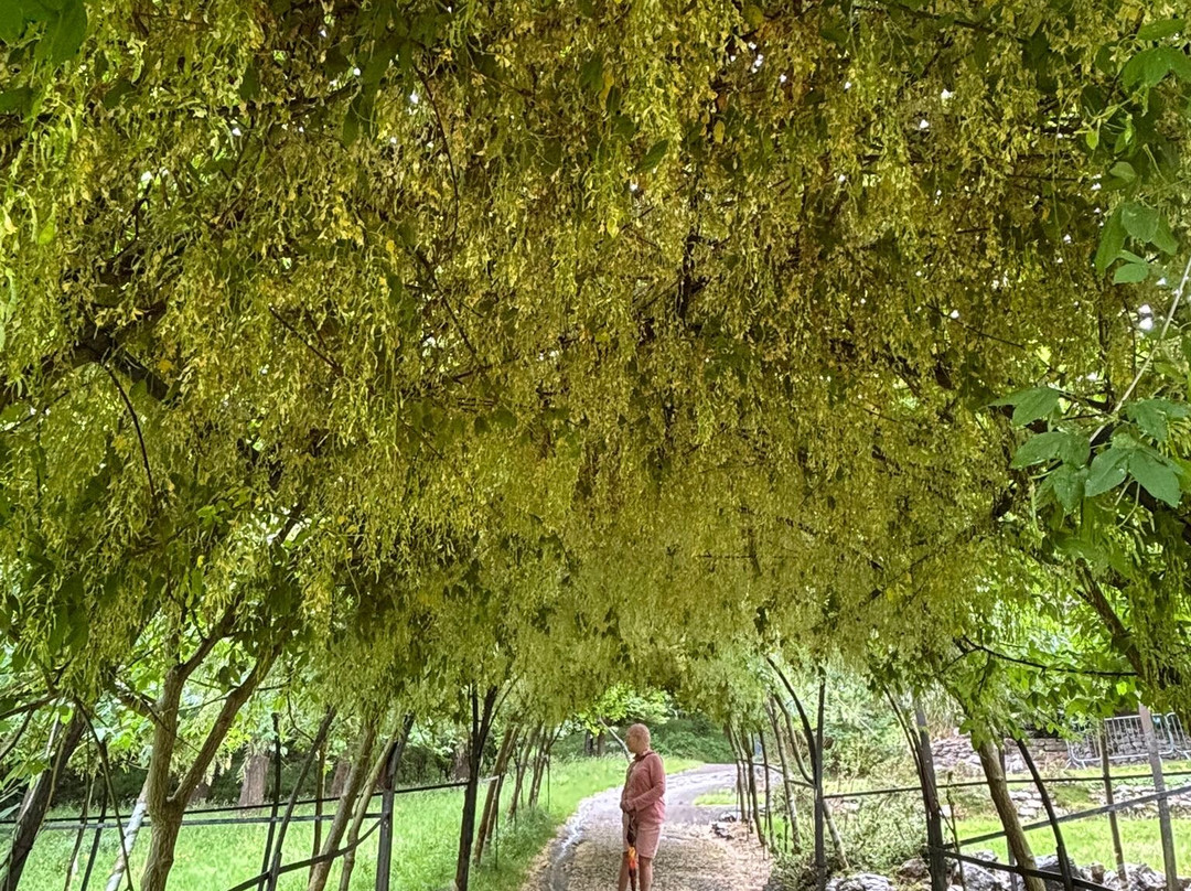 Happy Valley Botanical Gardens-兰迪德诺必去景点