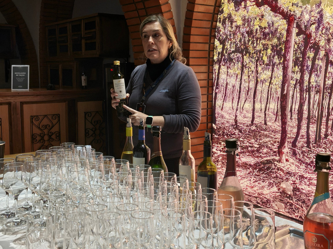 Aurora Winery-本图贡萨尔维斯必去景点