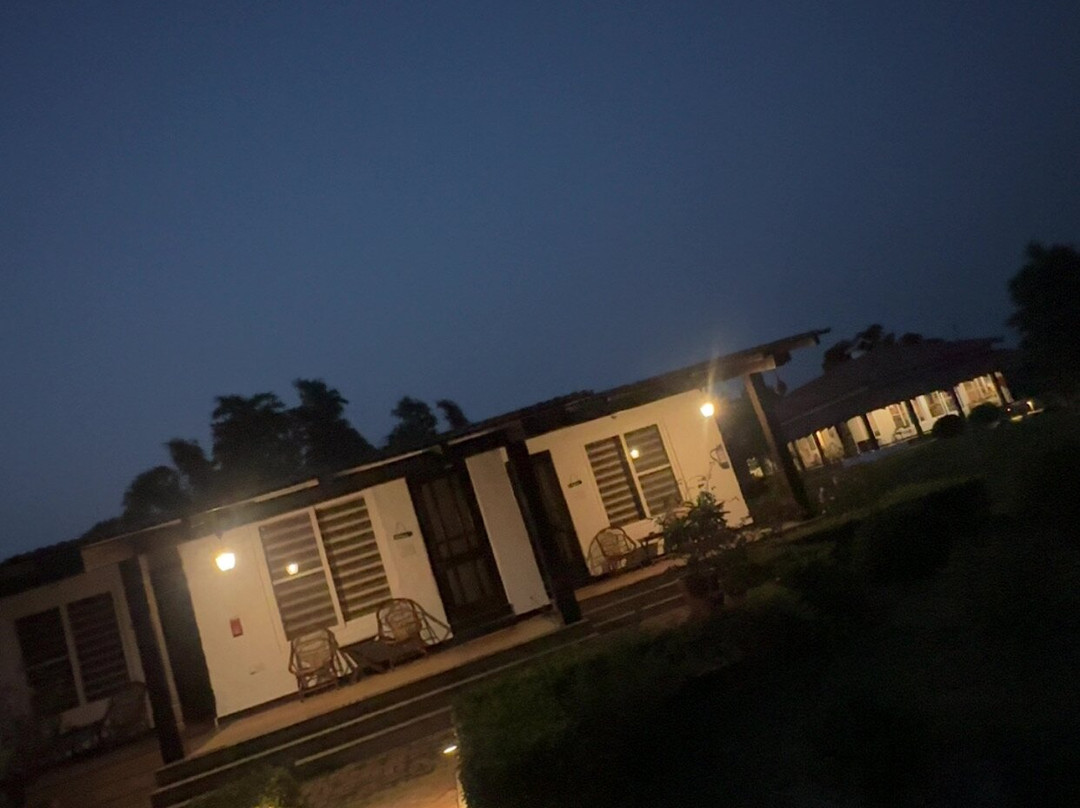 Camp TigerLily主图